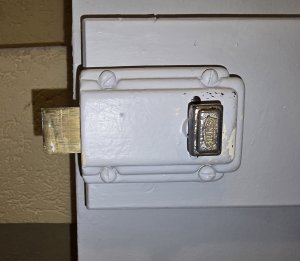 20250210_183715.jpg