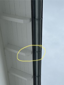 IMG_2913.jpeg