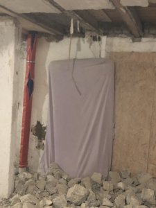 IMG_8547.jpeg