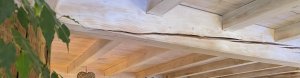 IMG_8317.jpeg