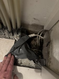 IMG_0667.JPEG