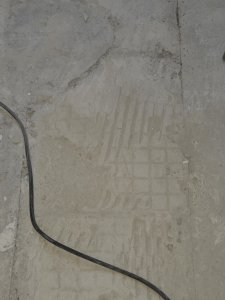20250217_152547.jpg