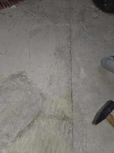 1000047787.jpg
