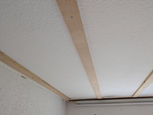 PXL_20250216_145416404.jpg