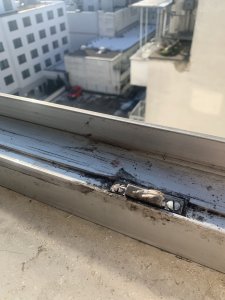 IMG_2461.jpeg