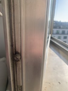 IMG_2460.jpeg
