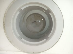 IMG_20250219_100512670_MFNR.jpg