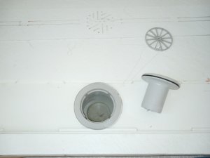 IMG_20250219_100436062_MFNR.jpg