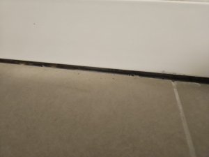 c5230b99-5ed8-4483-b226-112b291c49ac.jpg