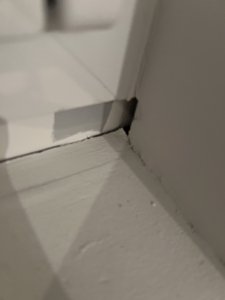 IMG_6627.jpeg