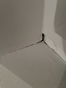 IMG_6626.jpeg
