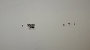 IMG_0530.jpeg