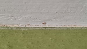 20250222_081316.jpg