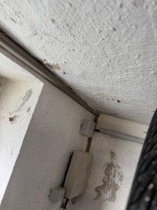 IMG_5072.jpeg