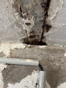 IMG_5070.jpeg