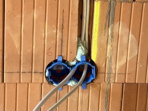 IMG_3572.jpeg