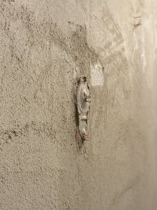 IMG_2407.jpeg