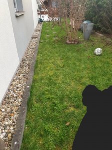 20250228_172233.jpg