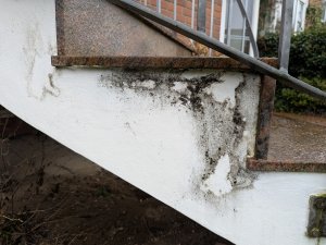 Treppe näher.jpg