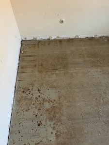 IMG_0341.JPG