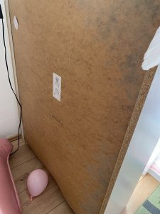 IMG_0595.jpeg