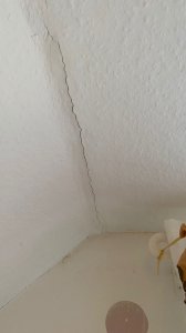 781986c7-b54c-4c52-91d8-bbed1a7c682a.jpeg