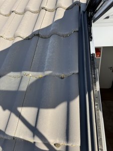 IMG_3197.jpeg
