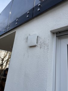 IMG_3742.jpeg