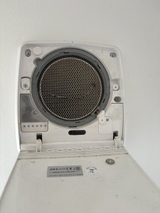 IMG_3743.jpeg