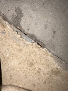 IMG_8449.jpeg