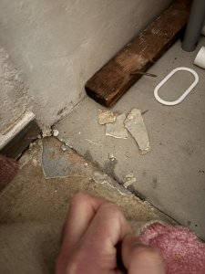 IMG_8451.jpeg