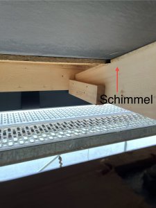 IMG_8237.jpeg