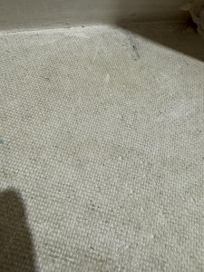 IMG_7103.jpeg