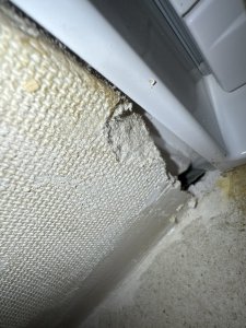 IMG_7102.jpeg