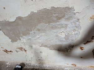 PXL_20250302_092611530.jpg