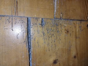 IMG_20250312_220219.jpg