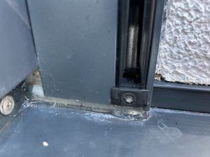 IMG_2698.jpeg