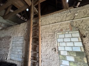 IMG_3969.JPG