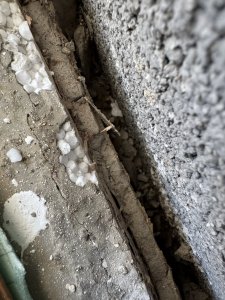 IMG_7091.jpeg