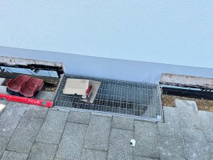IMG_2813.jpg