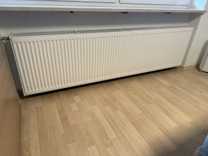 IMG_3370.jpeg