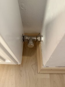 IMG_3369.jpeg