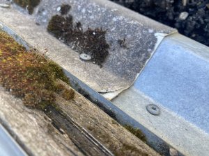 IMG_7287.jpeg