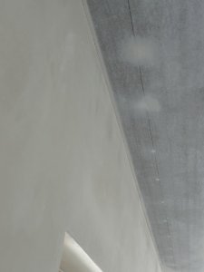 IMG_3852.jpeg