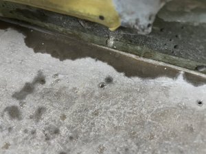 IMG_5539.jpeg