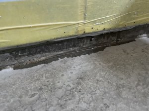IMG_5536.jpeg