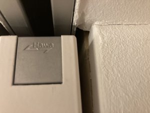 IMG_7797.jpeg