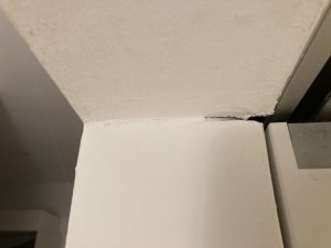 IMG_7798.jpeg