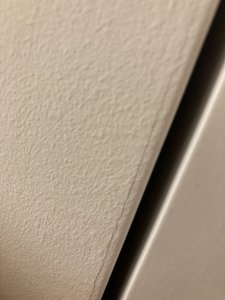 IMG_7804.jpeg