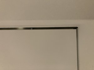 IMG_7807.jpeg